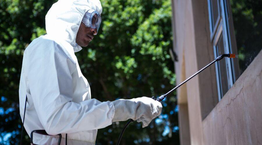 Why choose Lathrop Wasp Nest Removal for wasp nest removal in Lathrop
